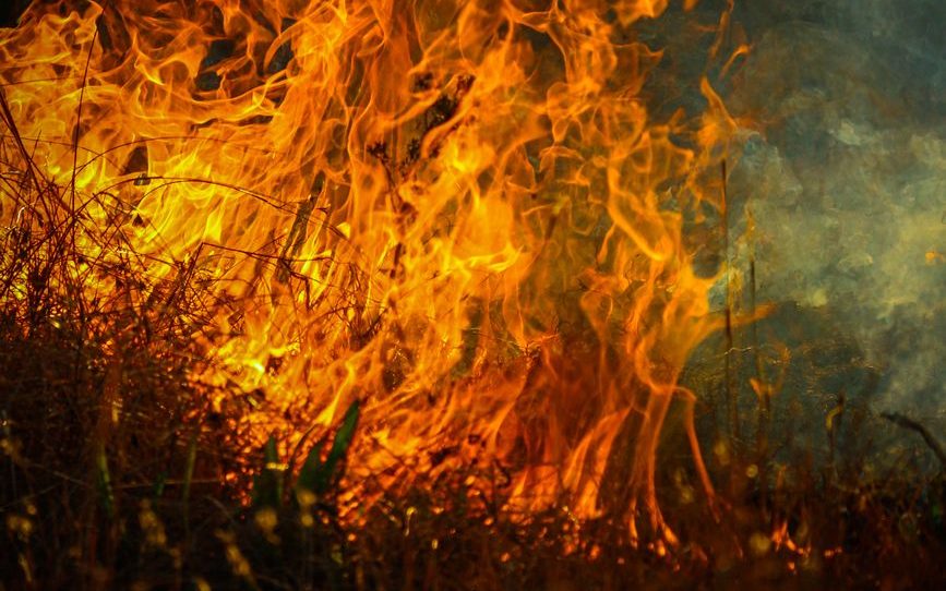 Wildfire threatens Canada’s wine region